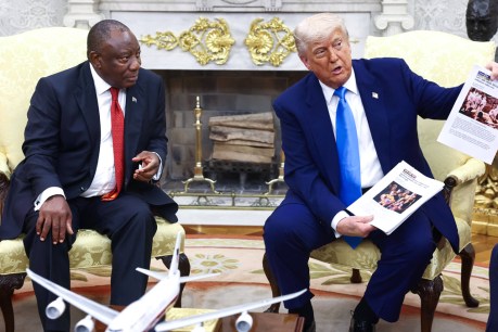 Truth about Trump’s ‘white genocide’ exposed