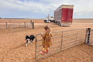 'Really scary': Farmers battle historic drought