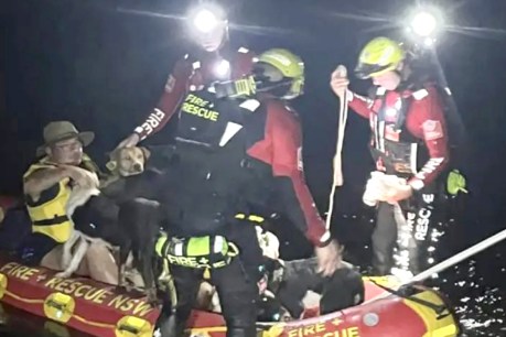 Spectacular rescue amid isolation and exhaustion