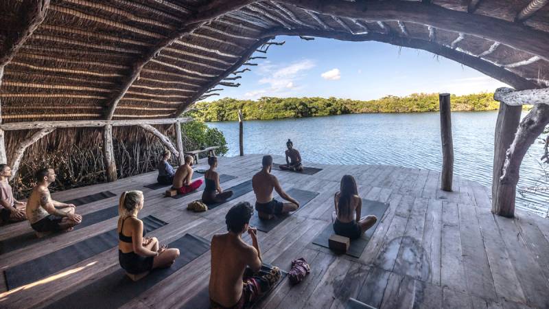 wellness worker exploitation