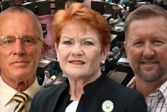 One Nation nabs two final Senate spots in best result
