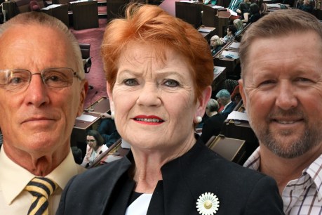 One Nation nabs two final Senate spots in best result