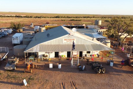 ‘Betoota’s got no talent’: Festival revives ghost town