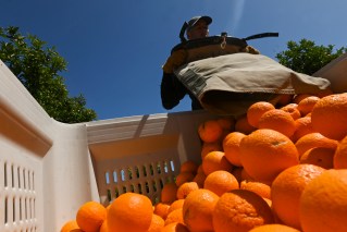 Supermarket giant acts on 'appalling' work conditions