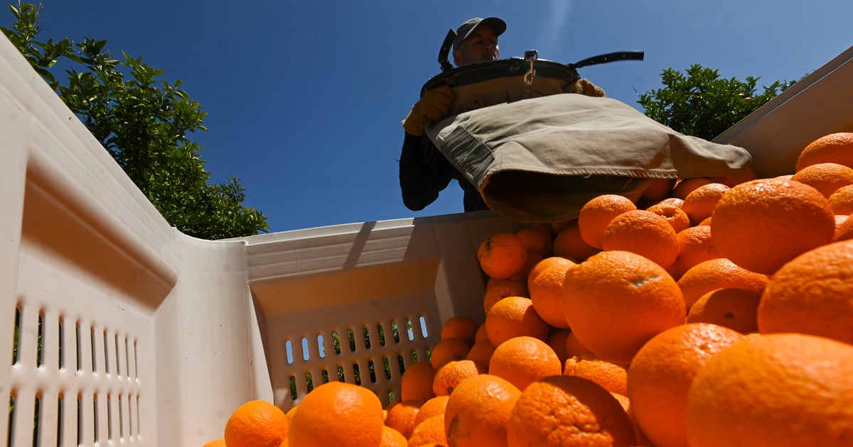 Supermarket giant acts on 'appalling' worker conditions