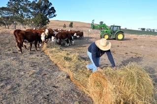 Help for drought-hit farmers ‘doing in tough’
