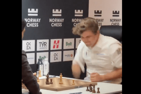 Chess champ's outburst provokes global reaction