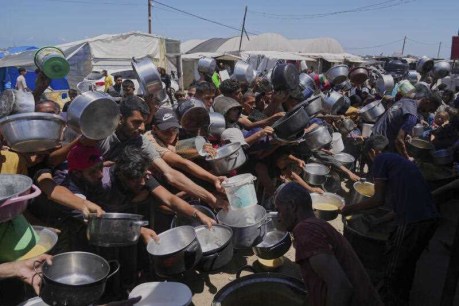 Calls for probe over Gaza Strip food aid deaths