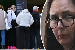 ‘Stupid knee-jerk reaction’: Erin Patterson on her lies