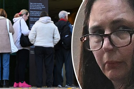 &#8216;Stupid knee-jerk reaction&#8217;: Erin Patterson on her lies
