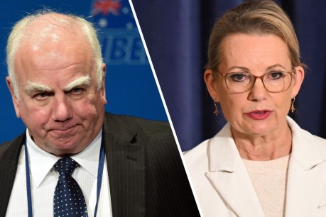 Ley hits back after Liberal elder&#8217;s &#8216;assertive women&#8217; remark