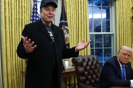 Musk 'leveraged Trump access for gain': Report