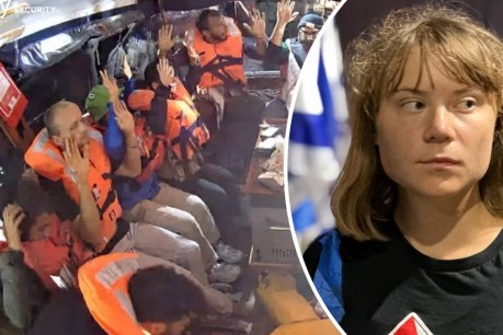 Israel deports Thunberg and other activists