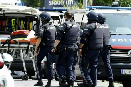 At least 11 dead in horror shooting at Austrian school