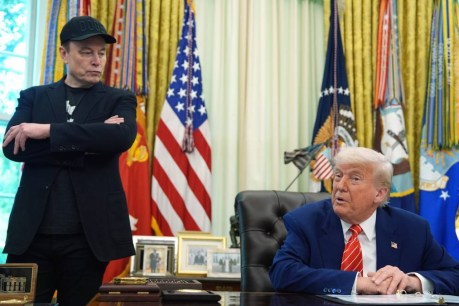 Trump’s reaction after Musk peace offering