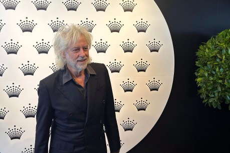 Geldof lets rip on 'sociopathic loser' Musk