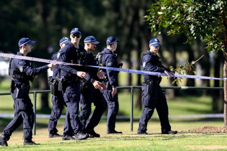 Man charged with murder of woman dumped in bush