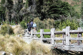 Missed out on Milford? Try these epic hikes instead