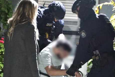 Teen's bravery hailed after alleged gang rape