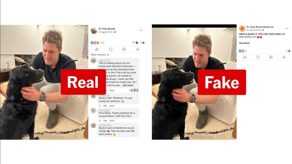 fake