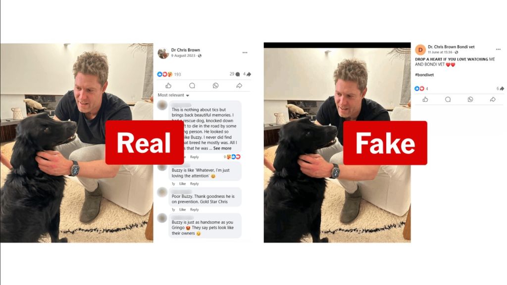 fake