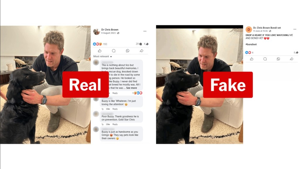 fake