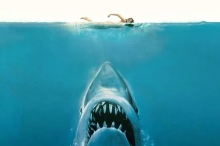 <i>Jaws</i> at 50: It changed our view of sharks forever