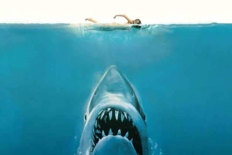 <i>Jaws</i> at 50: It changed our view of sharks forever