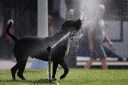 Warnings as UK bakes in the first heat wave of 2025
