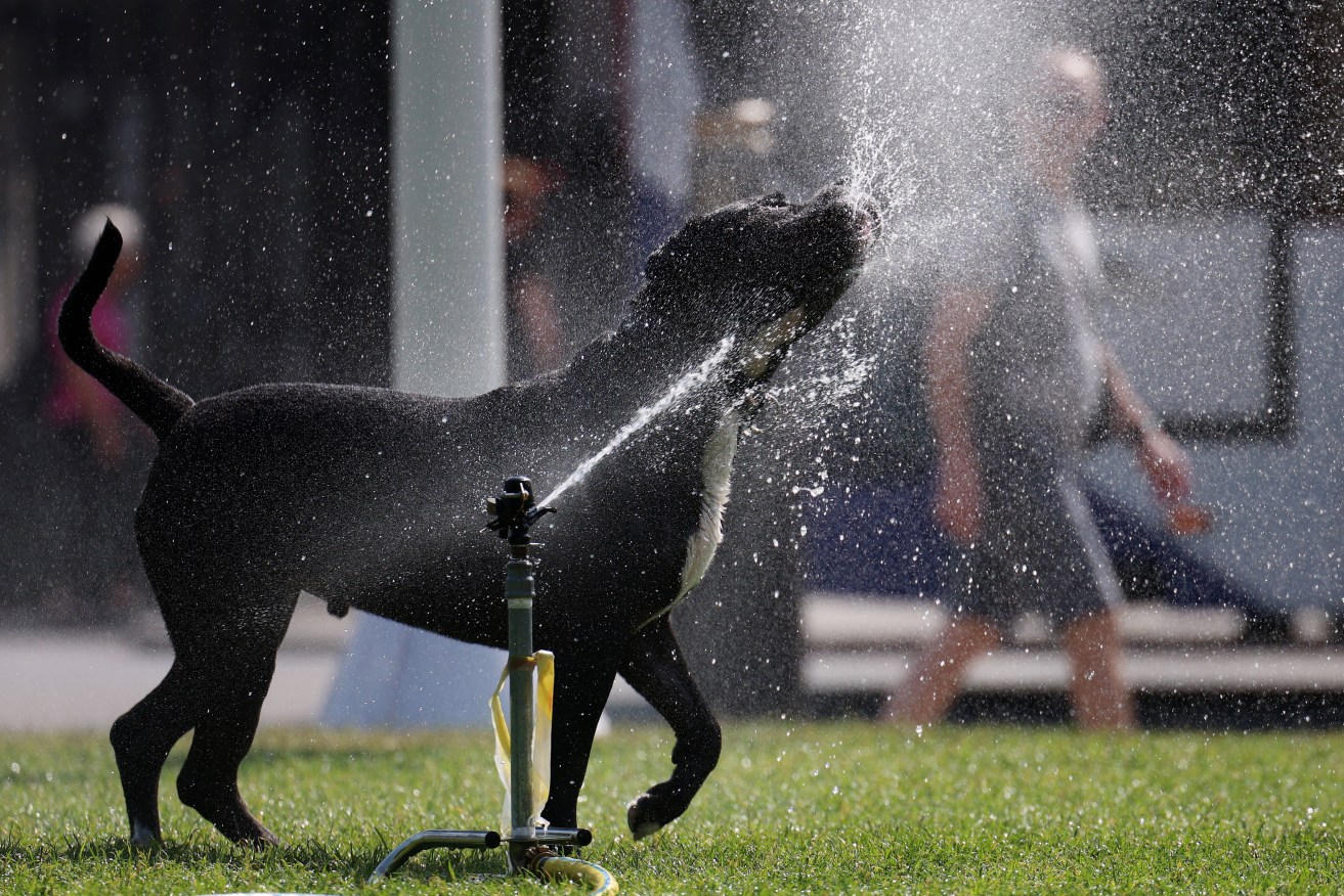 "Heat can result in serious health outcomes," authorities warn as the UK swelters in a heat wave.