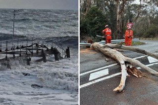 Tidal surges, trees fall as storm sweeps south-east