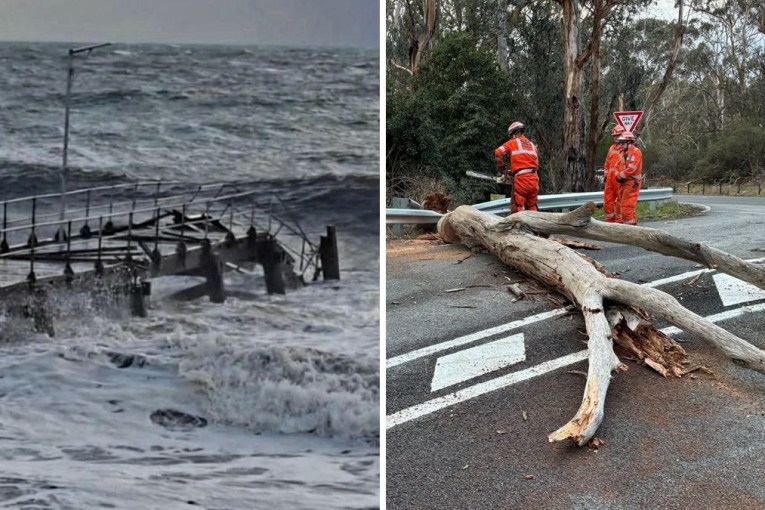 Tidal surges, trees fall as storm sweeps south-east