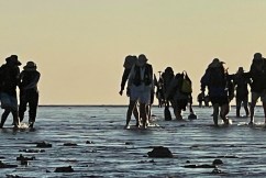 Cruise passengers, crew rescued from rising tide