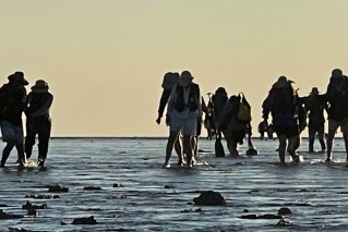 Cruise passengers, crew rescued from rising tide