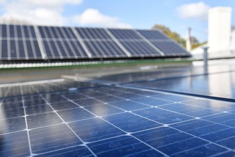 Workforce worries cast shadow over net-zero goal