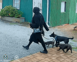 chesser port lincoln murder