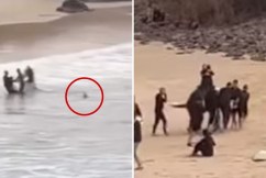 Shark attacks teen swimmer at NSW beach 
