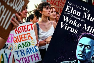 Why Musk's war on 'woke mind virus' will fail