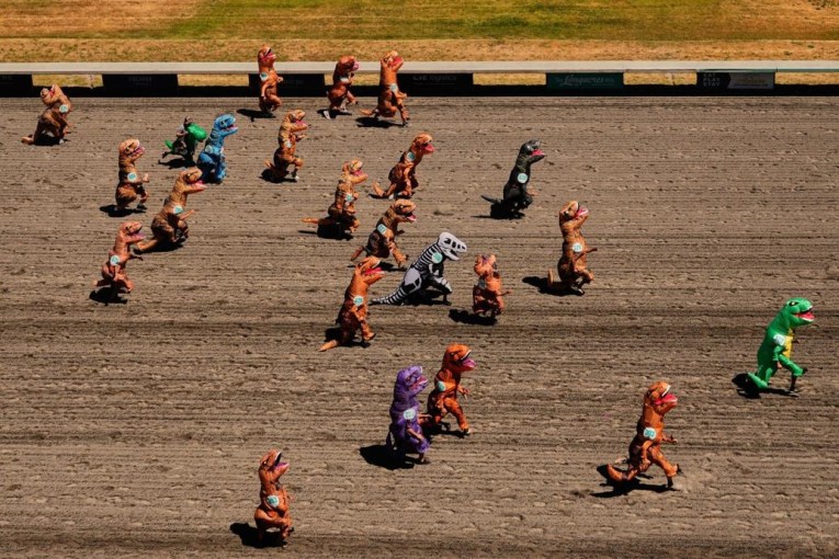 T-rex racing: The world's feel-good phenomenon