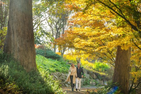 Step out on some of the best walks in the Adelaide Hills