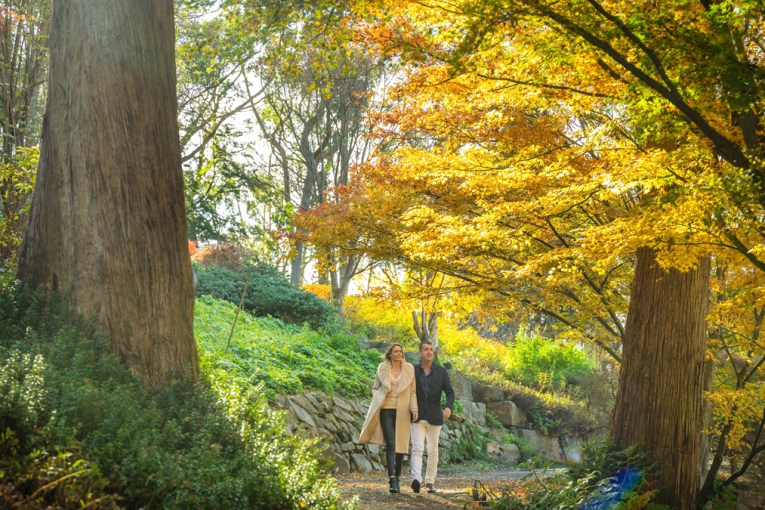 Step out on some of the best walks in the Adelaide Hills