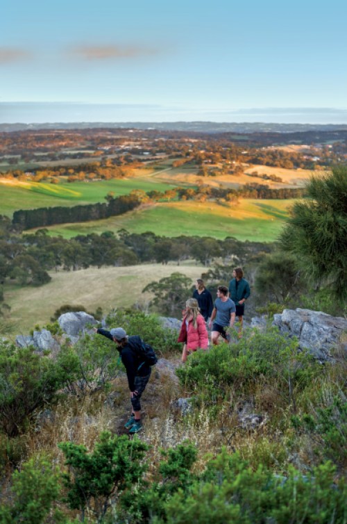 adelaide hills walks