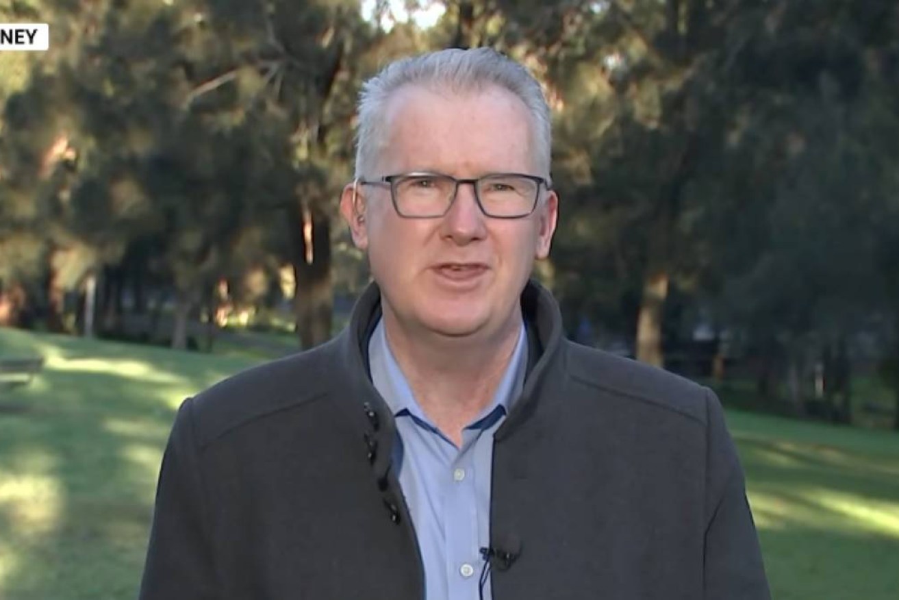 The PM's decision last year to put Tony Burke into home affairs was something of a political masterstroke.