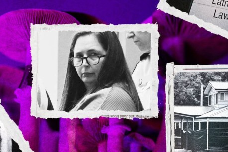 Erin Patterson found guilty – experts explain why
