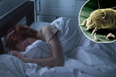 How often to wash bedding? Science explains
