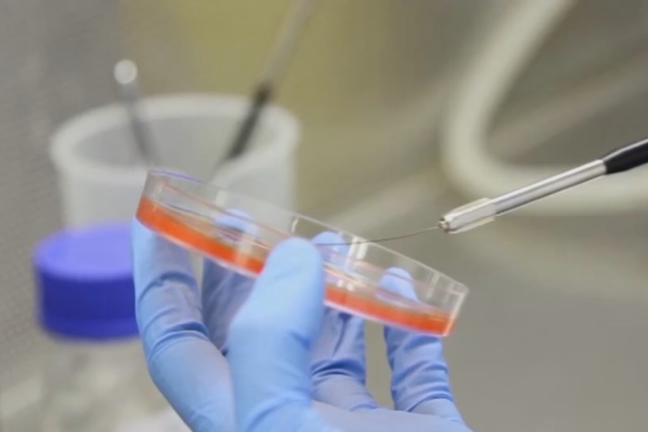 Each state has its own corrections legislation covering egg freezing and other fertility procedures. <i>Photo: supplied</i>