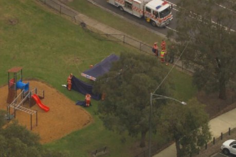 One dead after vehicle hits multiple pedestrians 
