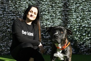 Animal shelters across the country in survival crisis 