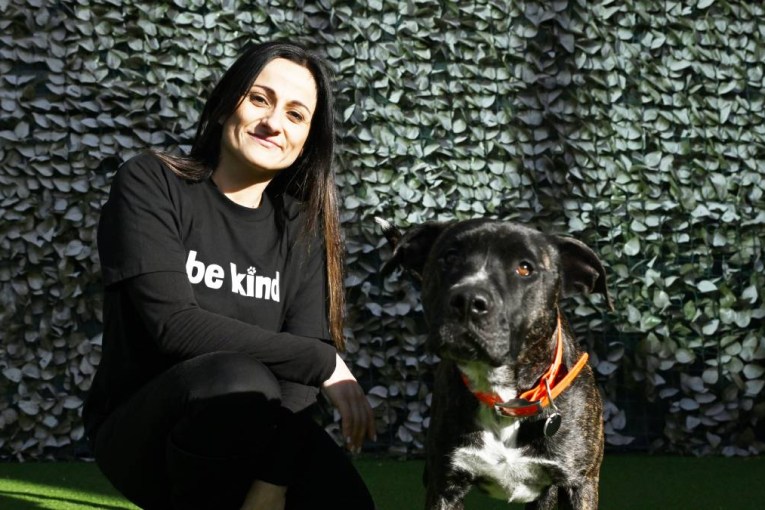 ‘Crisis’: Animal shelters across Australia are struggling to survive