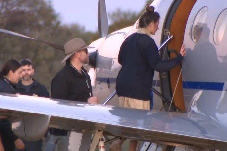 ‘Brave’ backpacker’s incredible survival in dense bush